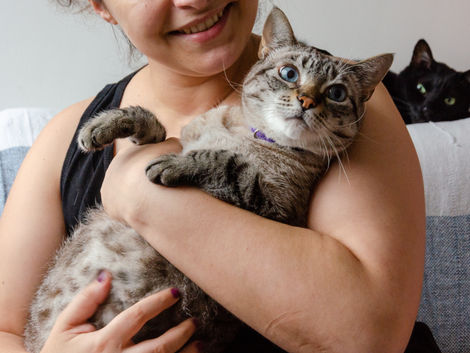 Parenting Your Cat: Tips for Feline Caretakers