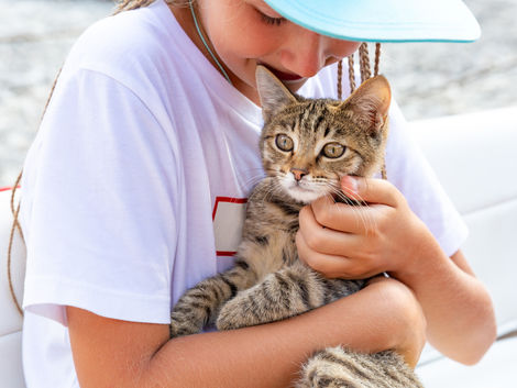 How You Can Help: Volunteering & Donations Make a Difference