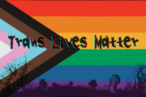 Trans Lives Matter.png