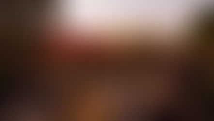 February Swamp Tampa Social