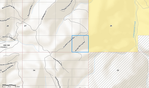 Ridge Spring4.png