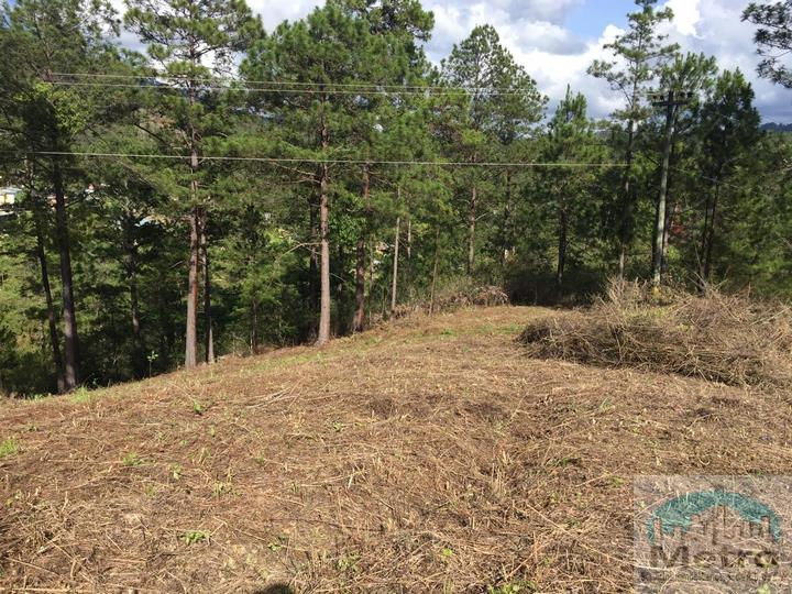 Miniatura: En venta 1 Manzana de terreno en Tatumbla sector de La Colmena
