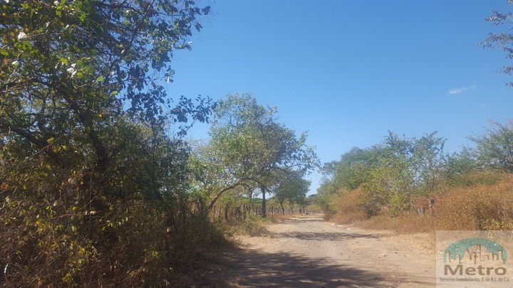 Miniatura: En venta 3.42 mz en Jícaro Galan, Depto de Valle