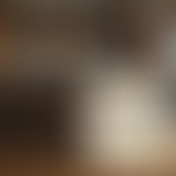 Key Strategies for Academic Book Reviews