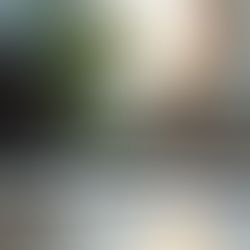 Building a Professional Academic Portfolio Online