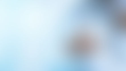 Barefoot Insight: What Healthy Security Partnerships Look Like