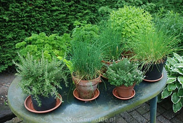 Een fluistering uit de natuur