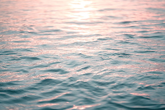 somatic healing therapy for stress, anxiety, trauma. Online therapy.jpg