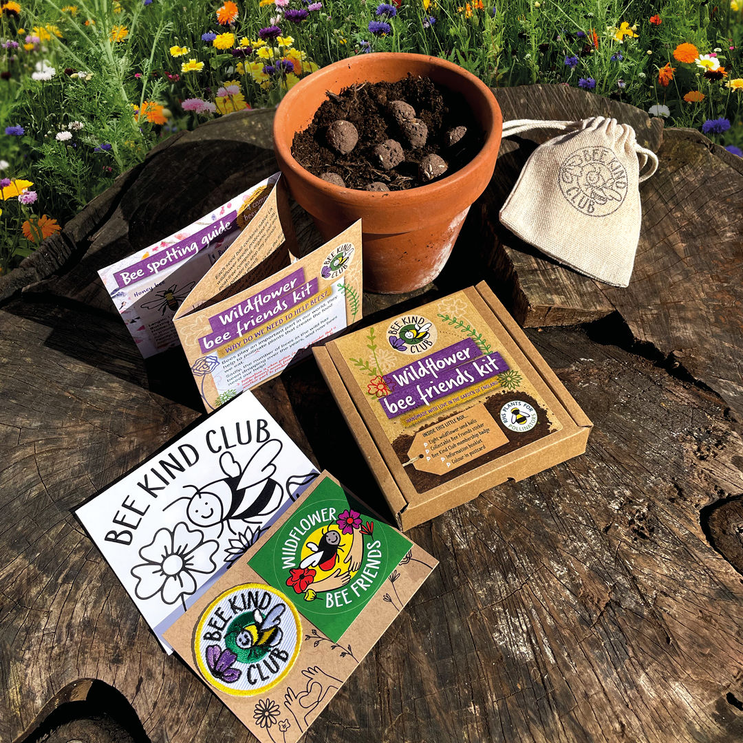 Wildflower bee friends kit