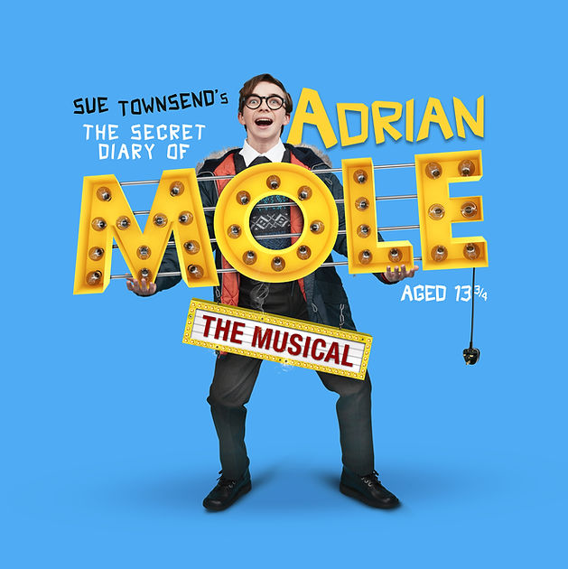 Mole_Sign_FINAL(head1).jpg