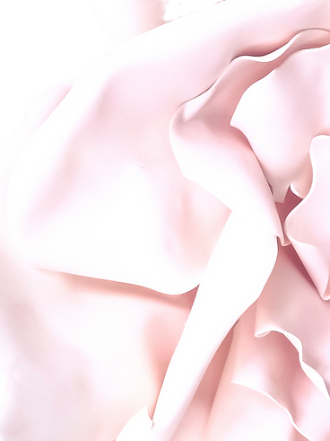 Pink Fabric Flower_edited_edited_edited_edited.png