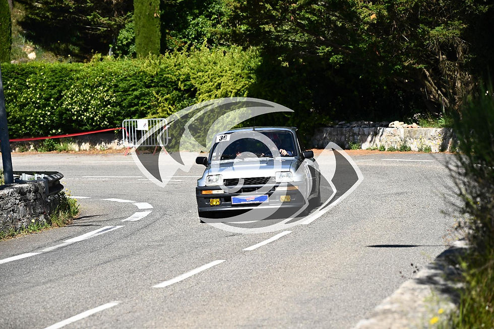 Miniature : Voiture 36