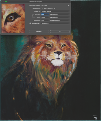 Pintura colorida de um leão com janela do Photoshop
