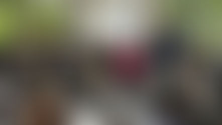 Barra Mansa promove ciclo de capacitações em neurodesenvolvimento infantil para profissionais da rede de saúde