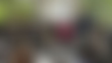 Barra Mansa promove ciclo de capacitações em neurodesenvolvimento infantil para profissionais da rede de saúde