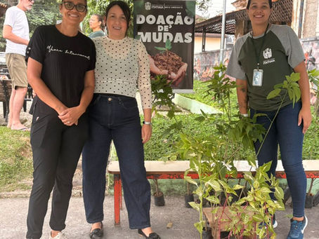 2.311 mudas de plantas são doadas em Itatiaia