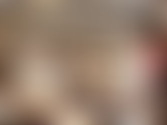 Comissão da ALERJ resgata 47 cães vítimas de maus-tratos em canil clandestino