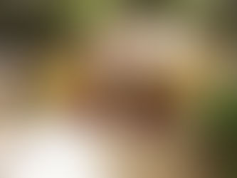 “Itatiaia Ecodance” acontece no dia 04 de dezembro com apresentações de alunos em diversas modalidades de dança 