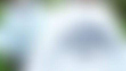 Prefeitura abre inscrições para a 1ª Copa de Taekwondo Marcial de Barra Mansa