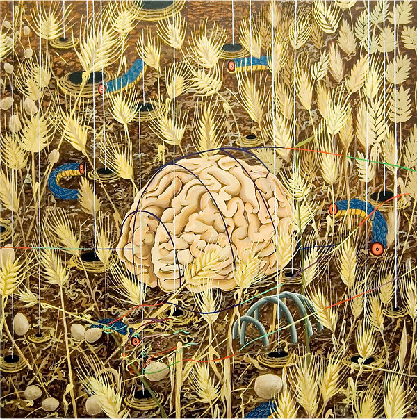 2.Brain in Hay 50x 50.jpeg