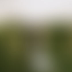 How to plan your wedding timeline - Common questions & estimated time frames