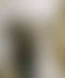 Castle Elopement in Little Rock Arkansas, Arkansas Wedding Photographer, Arkansas Wedding Videographer, Destination Castle Elopement, Destination Wedding Photographer, Arkansas Bride