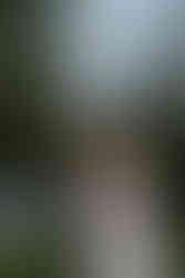 Kansas City Western Wedding Photography, Kansas City Wedding Photographer, Kansas City Photographer, Arkansas Wedding Photographer, Colorado Western Photographer, Western Wedding Photographer