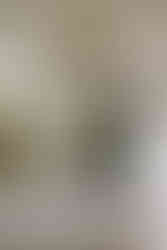 St Catherines at Bell Gable Wedding, Arkansas Wedding Photographer, Arkansas Wedding Videographer, Arkansas Elopement Photographer, Destination Wedding Photographer, Italy Wedding Videographer, Arkansas Film Photographer