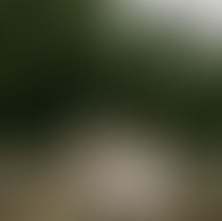 Arkansas Wedding Photographer, California Wedding Photographer, Oklahoma Wedding Photographer, Garden Party Wedding Inspo, Should you have a first look at your wedding? Wedding planning tips for first looks. 