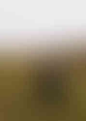 Colorado Western Engagement Photos, Mountain Engagement, Aspen Colorado Photographer, Denver Colorado Photographer, Colorado Springs Photographer, Colorado Film Photographer