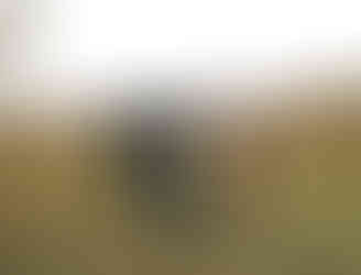 Colorado Western Engagement Photos, Mountain Engagement, Aspen Colorado Photographer, Denver Colorado Photographer, Colorado Springs Photographer, Colorado Film Photographer, Jackson Hole Western Photographer