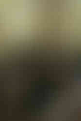 Arkansas Wedding Photographer, Mildred B Cooper Chapel Wedding, How to plan your wedding at Mildred B Cooper Chapel, Arkansas Film Photographer, Mansion at The Orchard Wedding, Arkansas Wedding Videographer