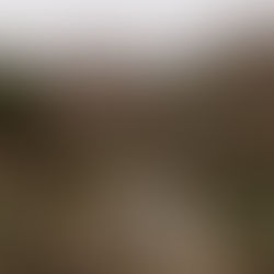 Colorado Western Engagement Photos, Mountain Engagement, Aspen Colorado Photographer, Denver Colorado Photographer, Colorado Springs Photographer, Colorado Film Photographer, Jackson Hole Western Photographer