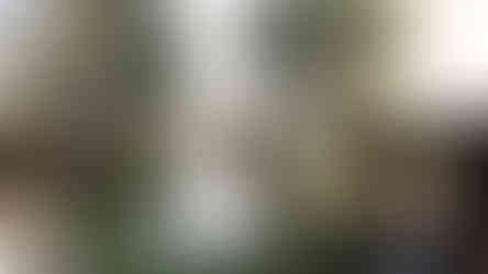 Kansas Wedding Videographer, Kansas Wedding Photographer, Private Estate Wedding, Aspen Colorado Wedding Videographer, Northern California Wedding Videographer, Napa Valley Wedding Photographer, Denver Wedding Videographer