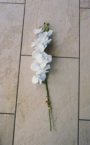 Eden Garden State Park Santa Rosa Florida Wedding, Destin Florida Wedding Photographer, Florida Film Photographer, Film Wedding Photographer, Destination Wedding Videographer, Florida Wedding Videographer, Arkansas Wedding Videographer, Arkansas Wedding Photographer, Arkansas Film Photographer, East Coast Wedding Videographer, Charleston Wedding Photographer, Charleston Wedding Videographer, Florida Wedding Venue