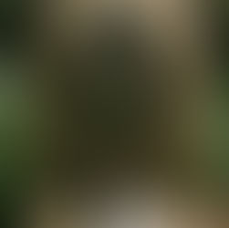 Gracie & Sage Honey’s Chic, Romantic Elopement at Mildred B. Cooper Chapel