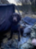 IMG_3084.jpeg