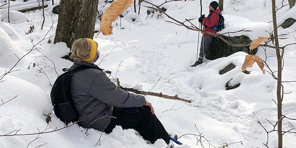 WoW Sit Spot or Wander for Nature Connection - 2/2