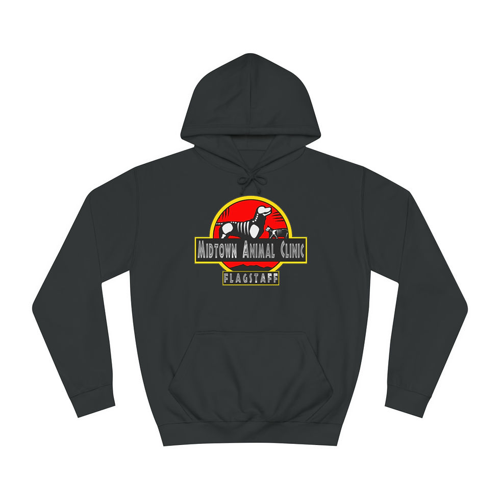 Thumbnail: Unisex "Prehistoric Midtown Flagstaff" - College Hoodie