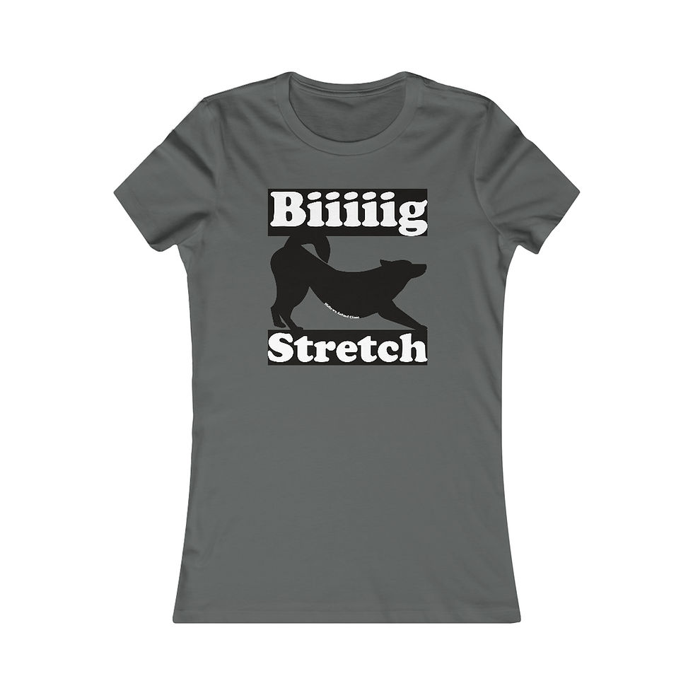 Thumbnail: Women's "Biiig Stretch" - Favorite Tee