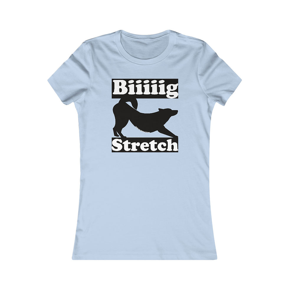 Thumbnail: Women's "Biiig Stretch" - Favorite Tee