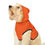 Thumbnail: "Fight Dog Nudity" - Pet Hoodie