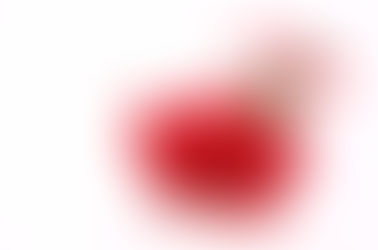 偶数の花をあげてはいけません