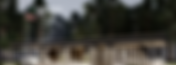Easy100/108 | Easywood