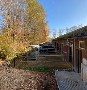 foto 07.11.20, 13 26 53.jpg