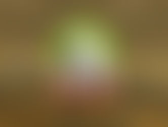 Projekt Zukunft - Level 1