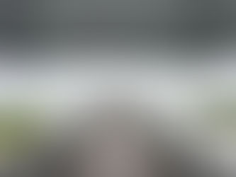 Into our vacation a little rain falls - August 9, 2024