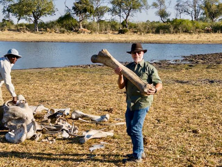 Don holding an elephant bone