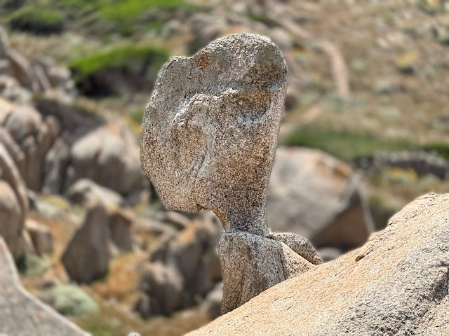ree