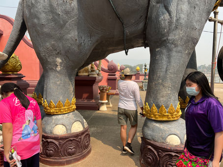 The elephant limbo - March 10, 2023